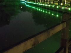 -艾溪湖湿地公园