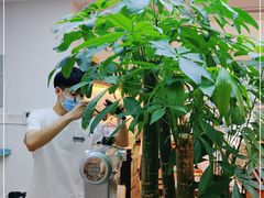 -Line 咖啡(石厦花园店)