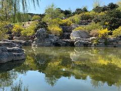 -北京西山国家森林公园