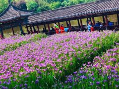 -龙头寺公园