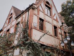 -成都南湖公园