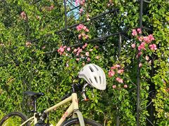 -GIANT捷安特自行车专卖店(金桥台儿庄路店)