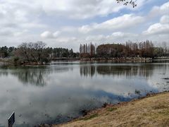 -艾溪湖湿地公园