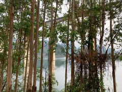 -龙颈河漂流