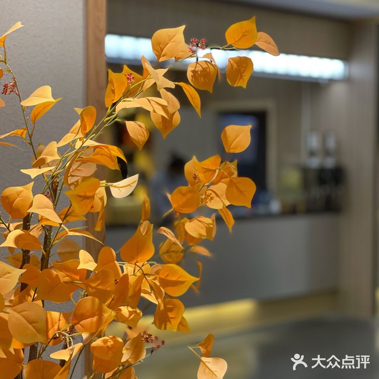 郑州日料|盛和道铁板烧