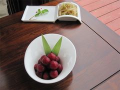 冰玉吉祥果-悦湖公馆