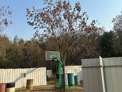 -东湖小天池真人CS彩弹野战基地