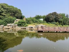 -北京西山国家森林公园