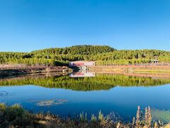 -塞罕坝国家级自然保护区