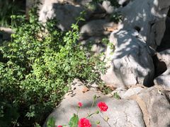 -君庭中餐厅(友谊宾馆店)
