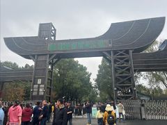 -溱湖国家湿地公园