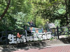 -宁波五龙潭景区