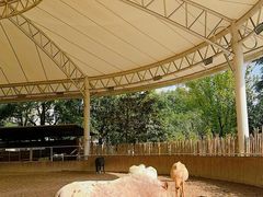 -J Create城市露营咖啡·简餐·宠物(上海动物园店)