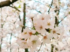 -龙美术馆(西岸馆)