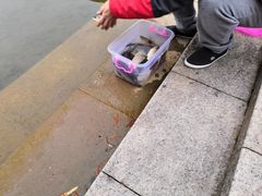 -上海怡沁园度假酒店