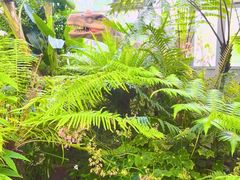 -北京植物园-展览温室