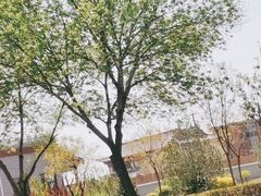 -榆次老城