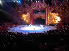 -珠海横琴长隆《卡卡虎奇遇记》