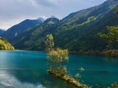 -九寨沟-树正沟