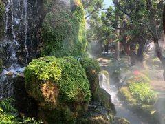 -Chom Cafe and Restaurant