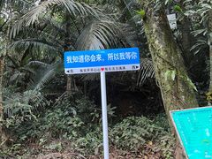 -七仙岭温泉国家森林公园