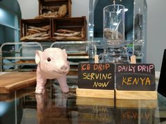-WHEN PIGS FLY当猪飞