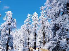 -瓦屋山景区