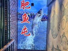 -肥鱼屯活鱼锅(惠工街店)
