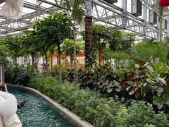 -南宫五洲植物乐园