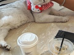 -爱达乐面包生日蛋糕(郫县时代天街店)