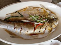 清蒸白水鱼-状元楼(金溪路店)