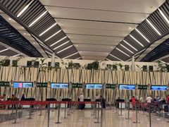 -西沃古尔·拉姆古兰爵士国际机场