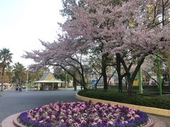 -三井奥特莱斯购物城(爵士之梦长岛店)
