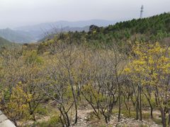 -妙峰山风景名胜区