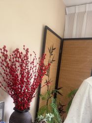 点击看大图 -巧兮美学半永久纹绣·纹眉·纹唇