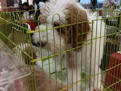 -万达广场(沈阳铁西店)
