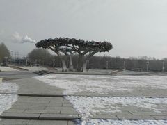 -东北师范大学(净月大街校区)
