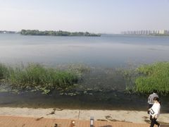 -丁香湖公园