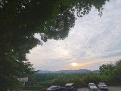 -上海市保健医疗中心