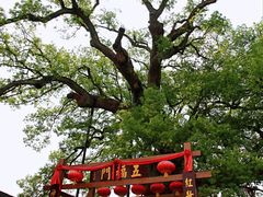 -新安江山水画廊风景区