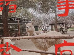 -秀丽东方
