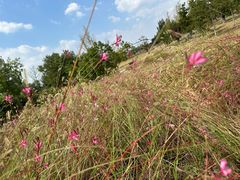 -汉长安城未央宫国家考古遗址公园