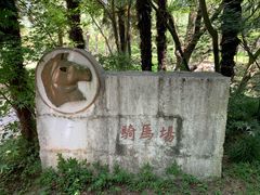 -上海共青森林公园