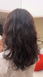-SALON DE VANHADA