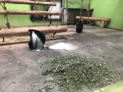 -石家庄市动物园