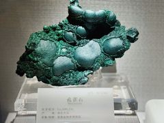 -湖南省地质博物馆