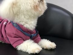 -宠颐生嘉德动物医院