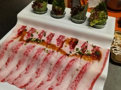 -杨小佳·齐齐哈尔烤肉·烤串(广州店)