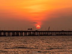 -宝安西湾红树林湿地公园