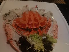 -金燕岛潮州酒楼